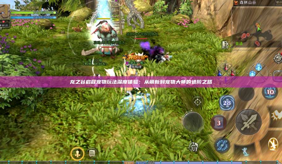 龙之谷启程宠物玩法深度体验：从萌新到宠物大师的进阶之路