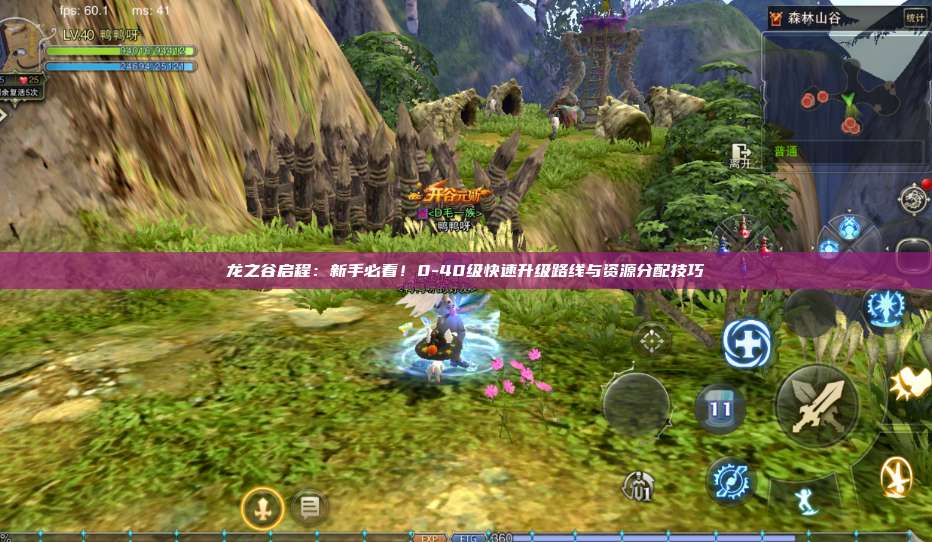 龙之谷启程：新手必看！0-40级快速升级路线与资源分配技巧