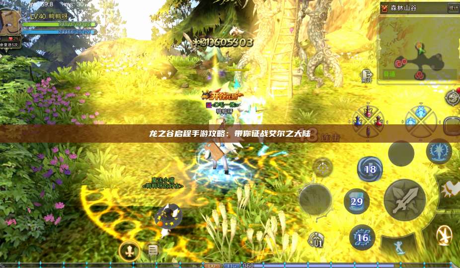 龙之谷启程手游攻略:带你征战艾尔之大陆