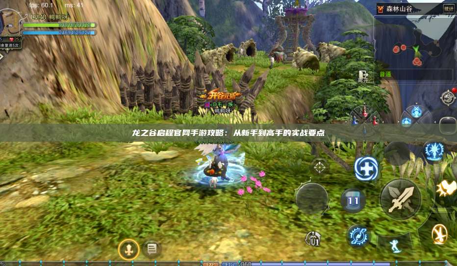 龙之谷启程官网手游攻略：从新手到高手的实战要点