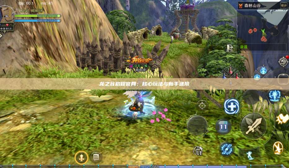 龙之谷启程官网:核心玩法与新手进阶