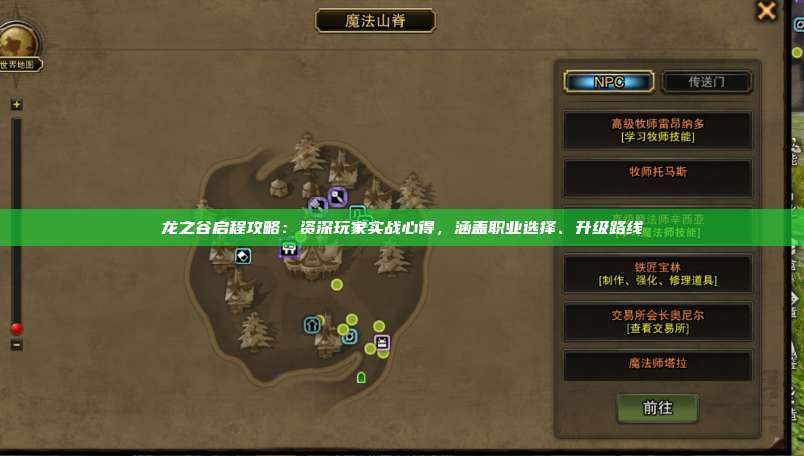 龙之谷启程攻略:资深玩家实战心得,涵盖职业选择、升级路线